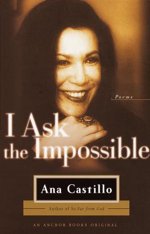 Book cover of I Ask the Impossible