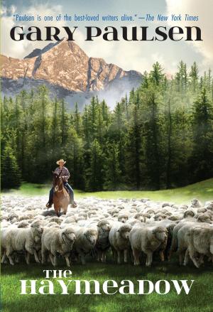 Cover of the book The Haymeadow by Jenna McCarthy