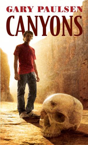 Cover of the book Canyons by Jennifer L. Holm, Matthew Holm