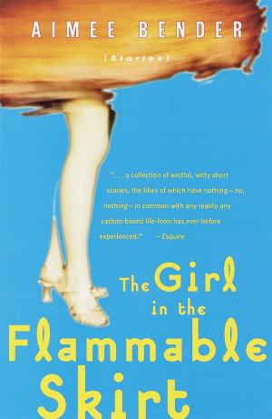 Cover of the book The Girl in the Flammable Skirt by Ky Day