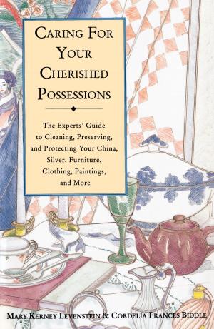 Cover of the book Caring for Your Cherished Possessions by Janet Kahn