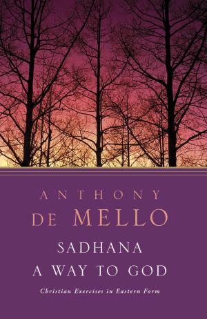 Cover of the book Sadhana by Lisa Samson