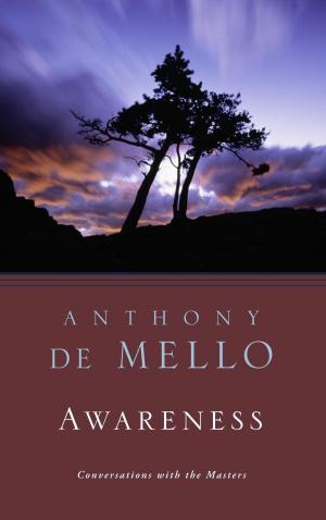 Cover of the book Awareness by Leoncio A. Garza-Valdes