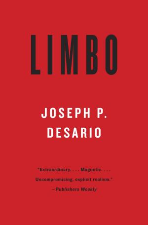 Cover of the book Limbo by Doris Lessing