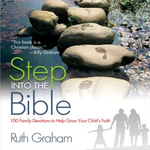 Cover of the book Step into the Bible by Lysa TerKeurst, Shaunti Feldhahn