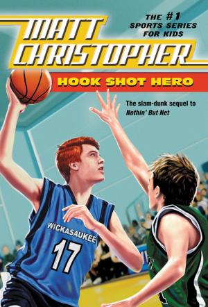 Cover of the book Hook Shot Hero by Andrea Davis Pinkney