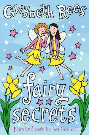 Cover of the book Fairy Secrets by Frank Evans