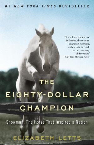 Cover of the book The Eighty-Dollar Champion by Julia Navarro