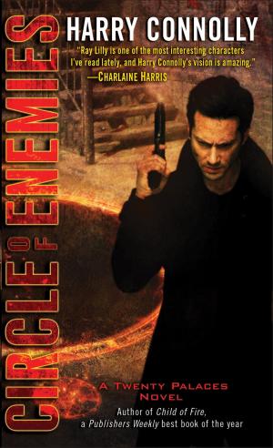 Cover of the book Circle of Enemies by Laura Payeur