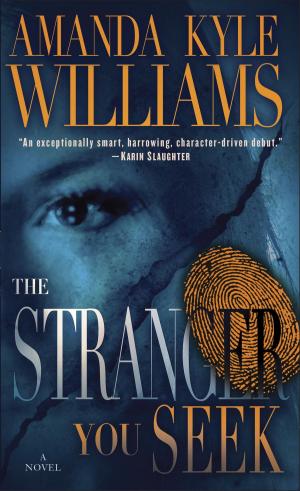 Cover of the book The Stranger You Seek by Christopher Fowler