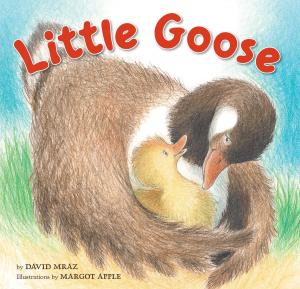 Cover of the book Little Goose by Joan Aiken