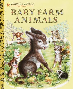 Book cover of Baby Farm Animals