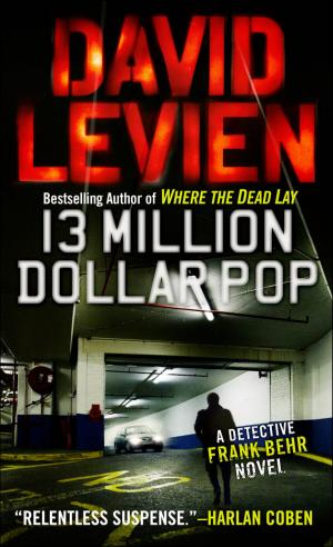 Cover of the book Thirteen Million Dollar Pop by Andrea Ferrari