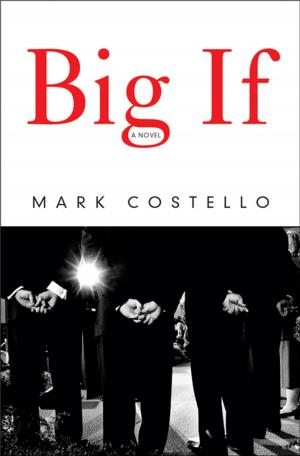 bigCover of the book Big If: A Novel by 