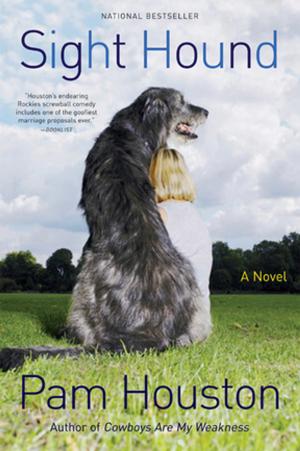 bigCover of the book Sight Hound: A Novel by 