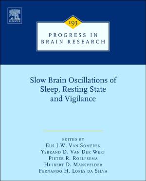 Cover of the book Slow Brain Oscillations of Sleep, Resting State and Vigilance by Caineng Zou