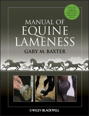 Cover of the book Manual of Equine Lameness by Howard Eisner