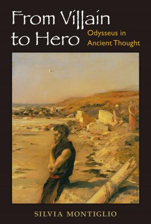 Cover of the book From Villain to Hero by Samir Chopra, Laurence F. White