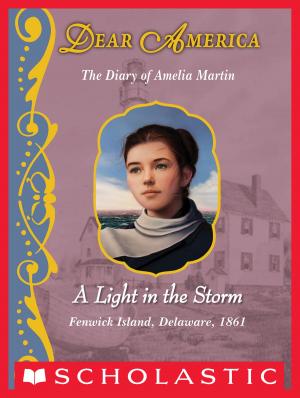 Book cover of Dear America: A Light in the Storm