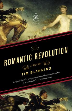Cover of the book The Romantic Revolution by C. K. Stead
