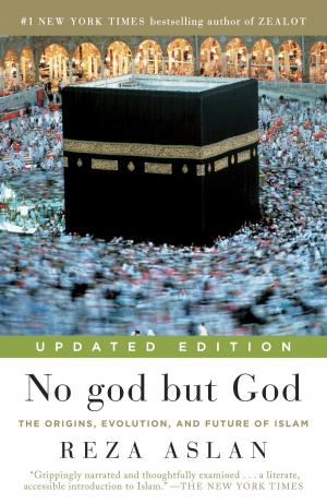 Book cover of No god but God (Updated Edition)