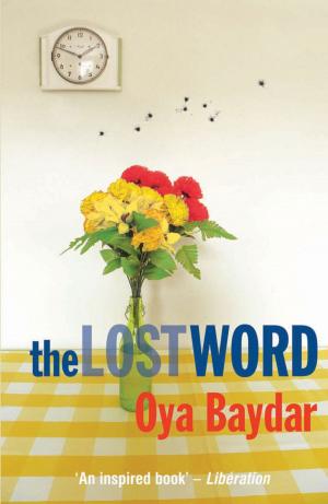Cover of the book The Lost Word by Noel Virtue