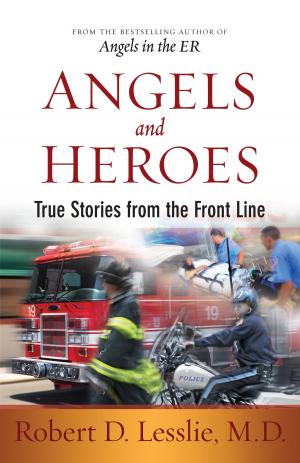 Book cover of Angels and Heroes