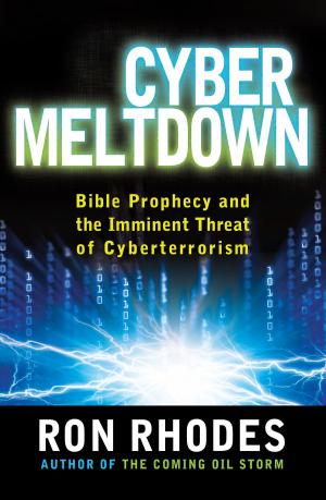 bigCover of the book Cyber Meltdown by 