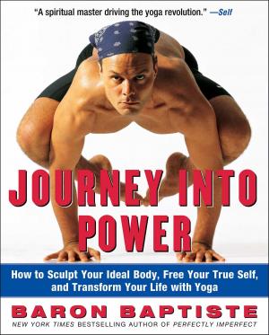 Cover of the book Journey Into Power by Lucinda Riley