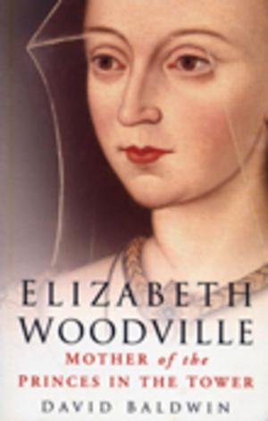 Cover of the book Elizabeth Woodville by Òrla McGovern