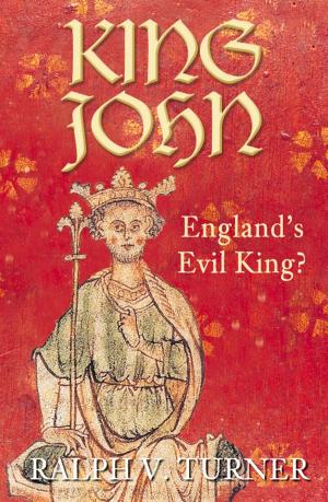 Cover of the book King John by Stephen Mercer