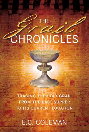 Book cover of Grail Chronicles