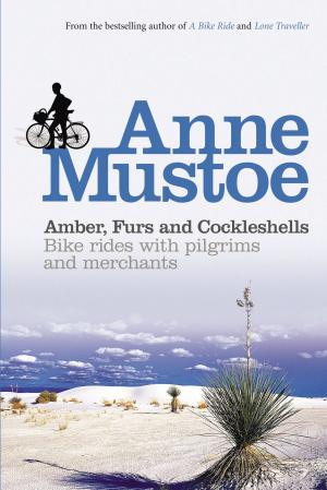 Book cover of Amber, Furs and Cockleshells