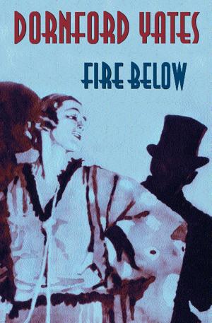 Cover of Fire Below