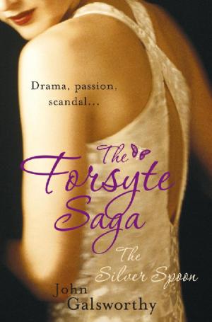 Cover of the book The Forsyte Saga 5: The Silver Spoon by Barbara Nadel