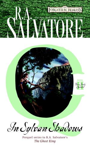Cover of the book In Sylvan Shadows by K.D. Langston