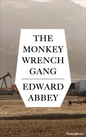 Cover of the book The Monkey Wrench Gang by Alan Dershowitz