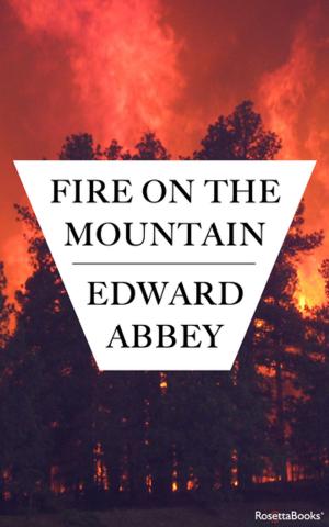 Cover of the book Fire on the Mountain by John Godey