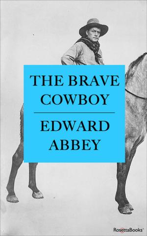 Cover of the book The Brave Cowboy by Michael Phillips
