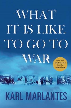 Cover of the book What It Is Like to Go to War by John Lawton
