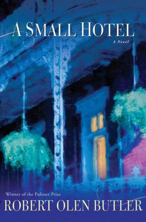 Cover of the book A Small Hotel by J. P. Donleavy