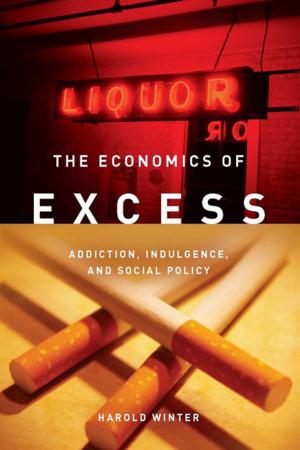 Cover of the book The Economics of Excess by Solon Simmons