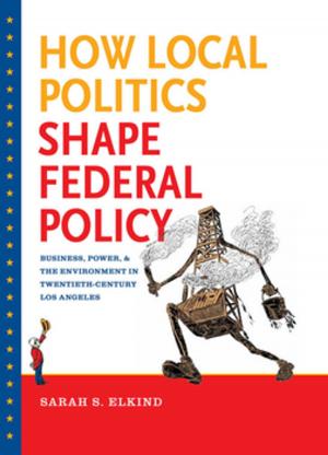 Cover of the book How Local Politics Shape Federal Policy by Raúl A. Ramos