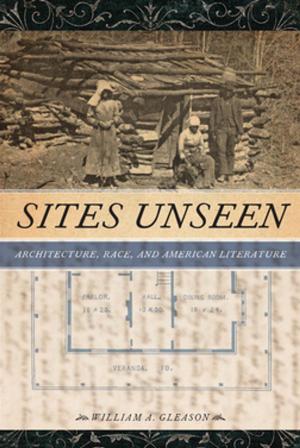 Cover of the book Sites Unseen by Nurit Stadler