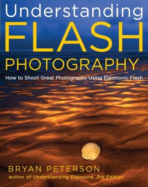 bigCover of the book Understanding Flash Photography by 