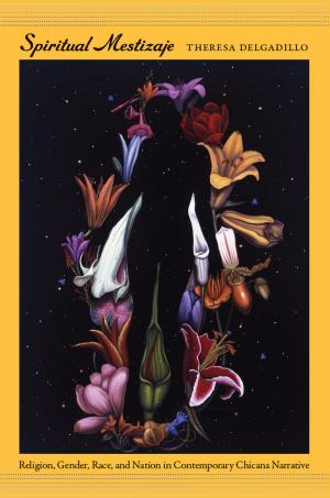 Cover of the book Spiritual Mestizaje by Kathryn Burns