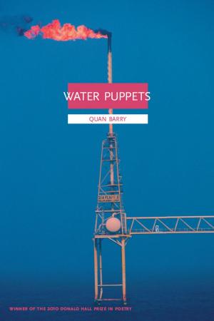 bigCover of the book Water Puppets by 