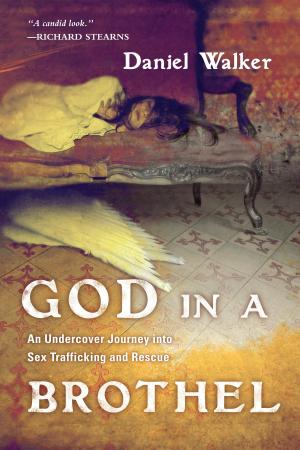 Cover of the book God in a Brothel by Alan J. Roxburgh