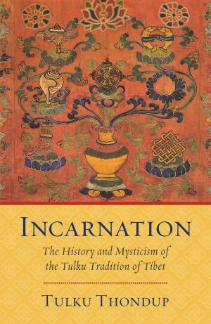 Cover of the book Incarnation by Daniel E. Perdue