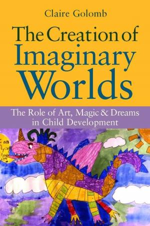 Cover of the book The Creation of Imaginary Worlds by Richard Bertschinger